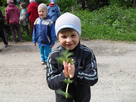 SAM_6874