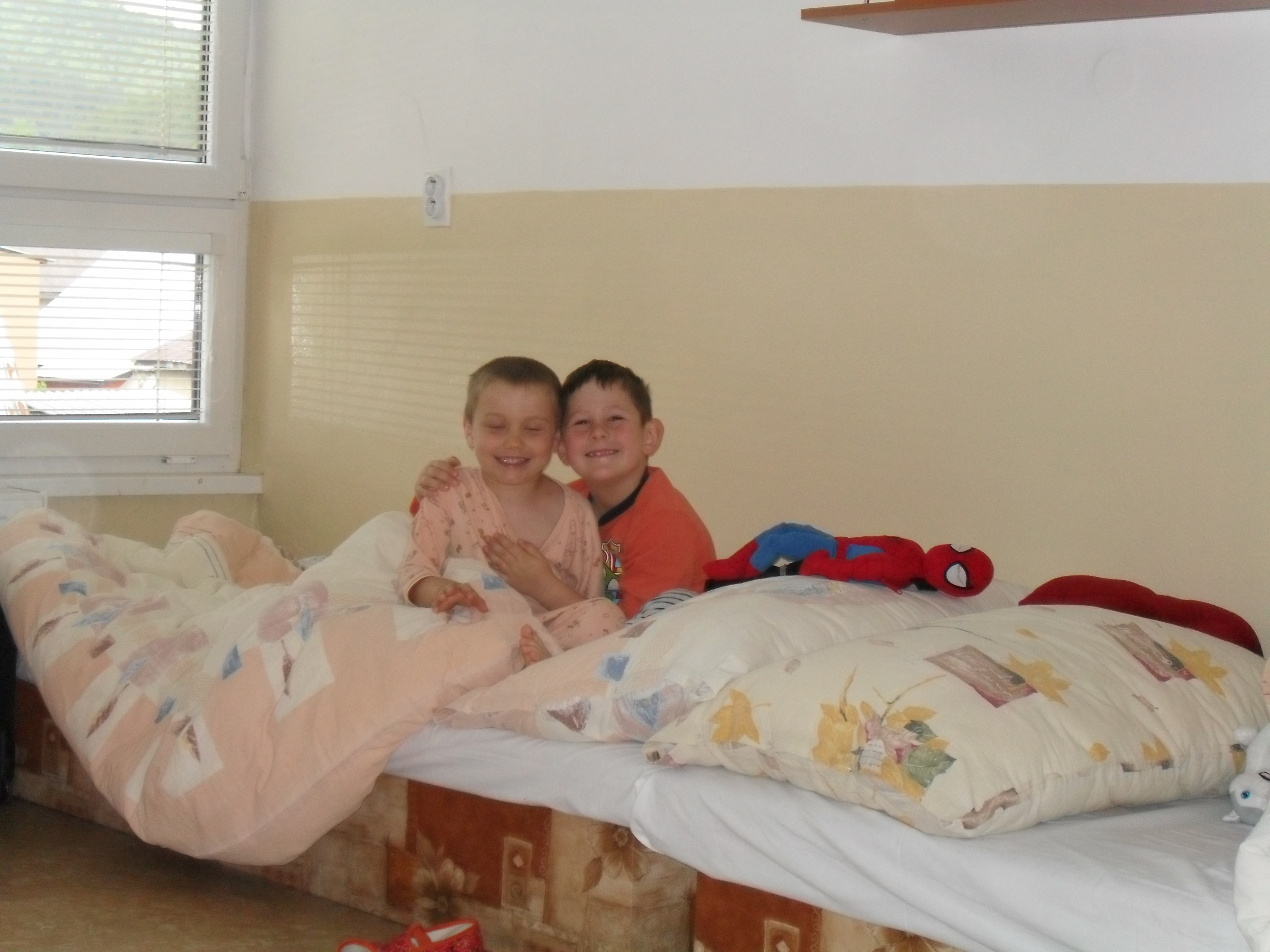 SAM_6951