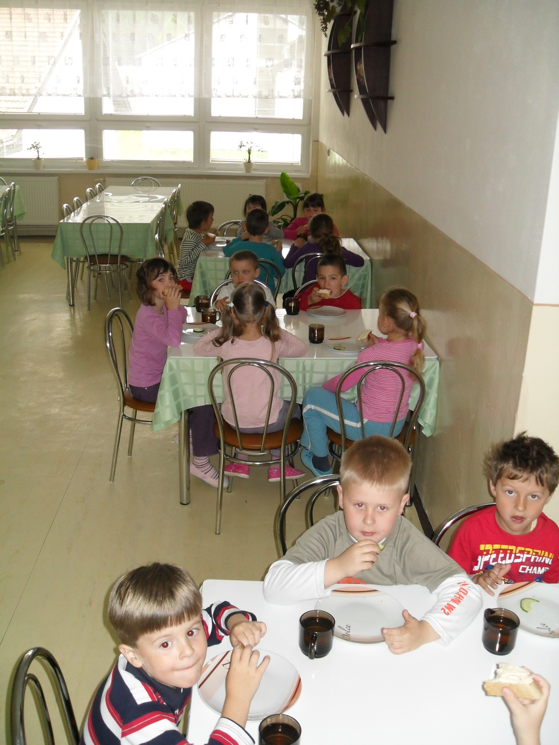 SAM_6973